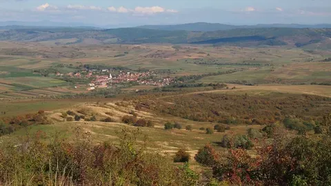 Lia Olguţa Vasilescu și guvernul României