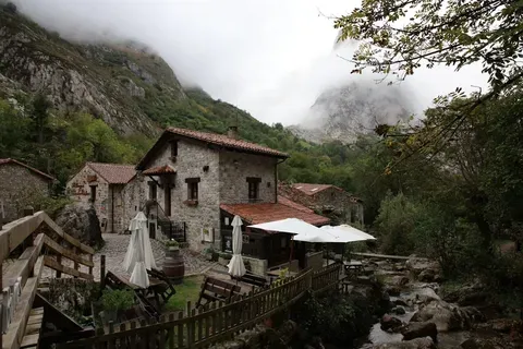 Incendierea unei Case de Patrimoniu: Dosar Penal pentru Mircea Dinescu