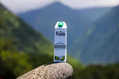 Vizita oficială a lui Alexandru Rogobete în SUA