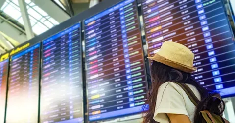 Companiile aeriene low-cost reduc zborurile din cauza scumpirii kerosenului