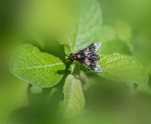 Descoperire la Tulcea