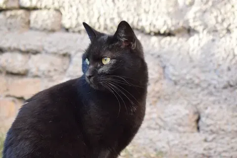 Câte ouă putem mânca de Paște?