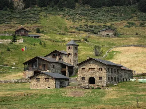 Un studiu despre inteligența artificială în SUA