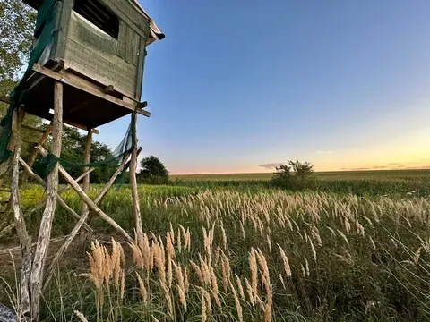 Tată și fiu, găsiți după o noapte de căutări în Vâlcea