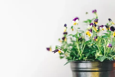 Atac cu macetă la metrou în New York: detalii despre atacator