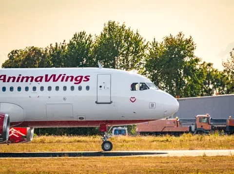 Expansiunea Animawings: Șase Noi Rute din România pentru Vara Aceasta