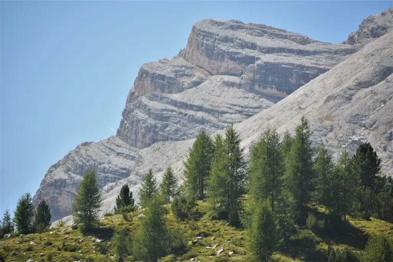 Întâlnirea de urgență în domeniul riscurilor cibernetice
