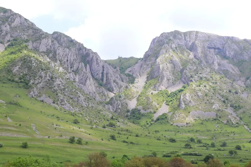 România caută soluții după procesul pierdut cu Pfizer