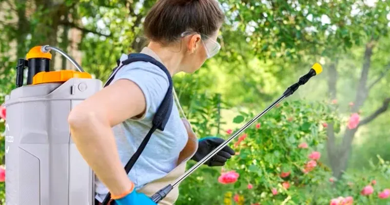 Cea mai bună pompă de stropit electrică 2026: Cum să alegi corect + Top 5 modele