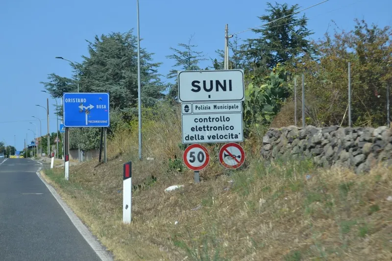 Scandal în Tecuci: O tentativă de evadare sfârșește cu o tamponare spectaculoasă