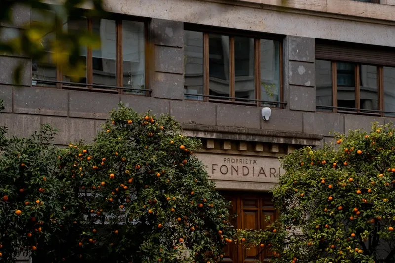 Ingredientele pentru cozonac, mai ieftine în 2026