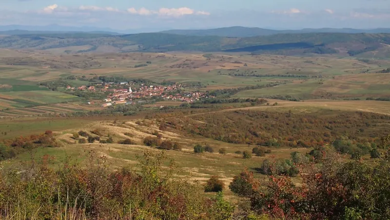 Lia Olguţa Vasilescu și guvernul României