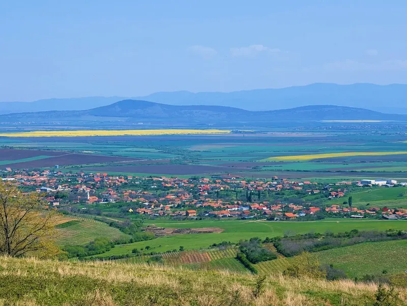 Mesajul lui Dominic Fritz înainte de consultări