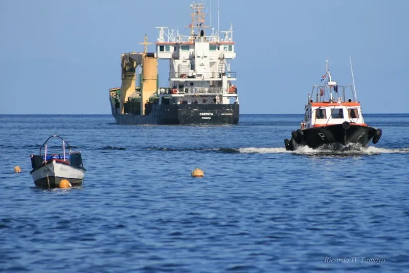 Reacția șefului agenției maritime a ONU la amenințările lui Trump: „Nicio țară nu are dreptul de a bloca strâmtoarea Ormuz”