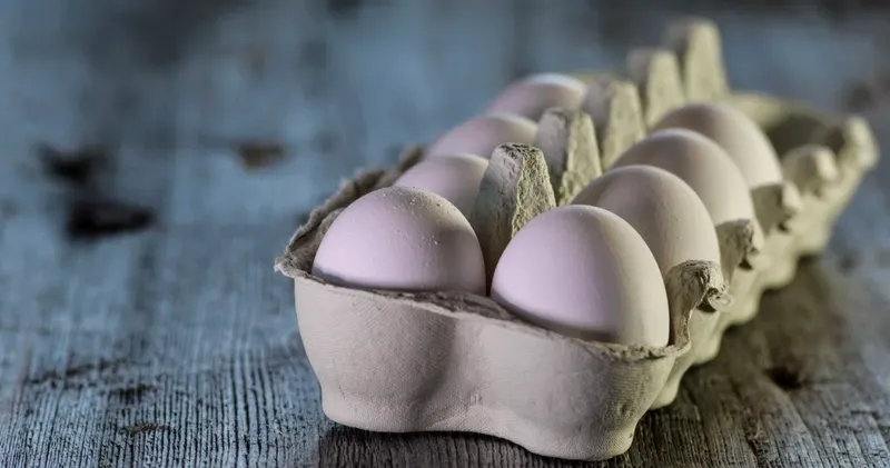 Aproximativ 1,5 milioane de ouă contaminată cu Salmonella sub sechestru în Vaslui