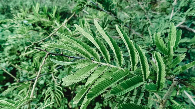 Reacția lui Donald Tusk după înfrângerea lui Viktor Orban