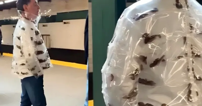 Un bărbat cu o geacă plină de gândaci sperie călătorii din metroul newyorkez