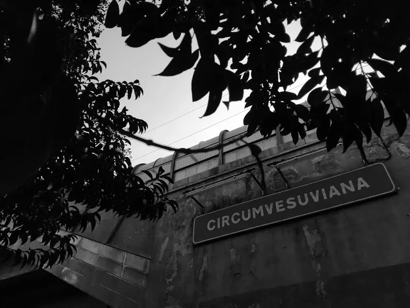 Zi semnificativă pentru Cîrstea și Ruse la WTA Linz