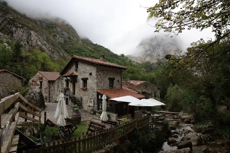 Incendierea unei Case de Patrimoniu: Dosar Penal pentru Mircea Dinescu