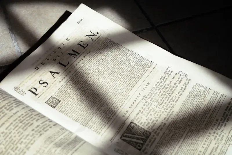 Investigația achiziției microbuzelor electrice