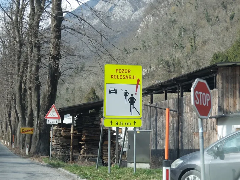 Tendințele prețurilor carburanților în România