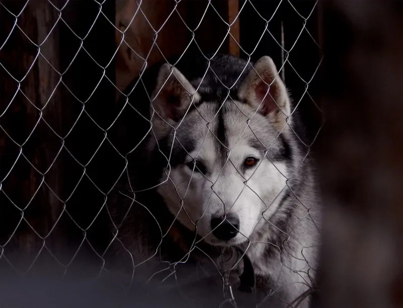 Creșterea prețului la prezervative