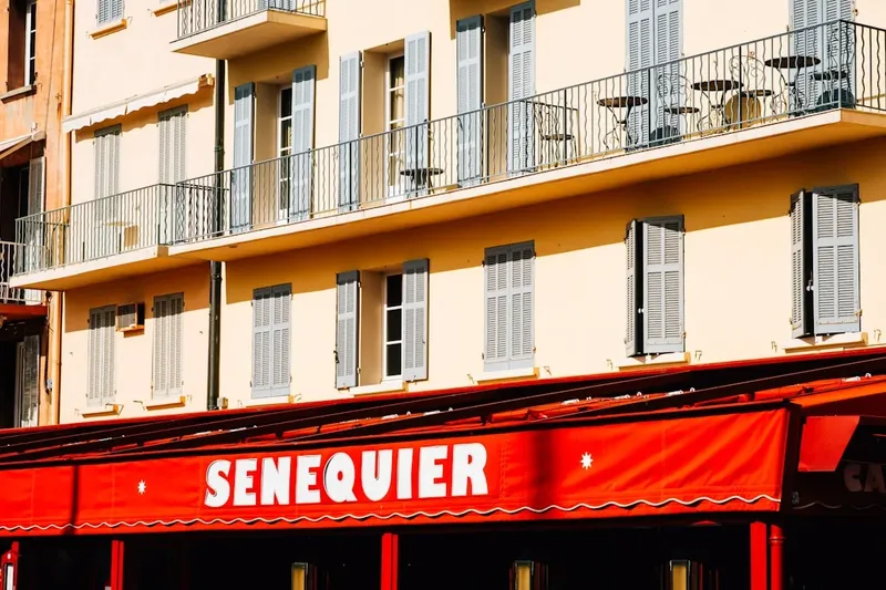 Senatoarea USR cere eliminarea panourilor publicitare despre nașterea naturală