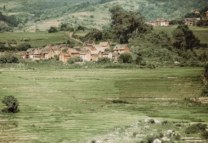 Vineri, zi de doliu local la Hunedoara în memoria lui Mircea Lucescu