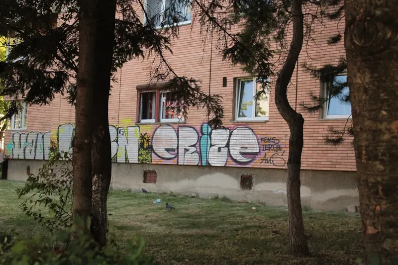 Ghid pentru alegerea mielului ideal de Paște