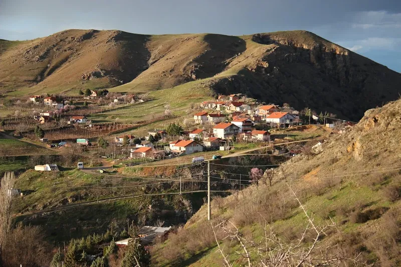 Conflict de familie în Alba