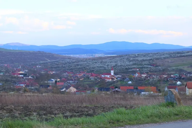 Mesajul ministrului demisionar al Sănătăţii