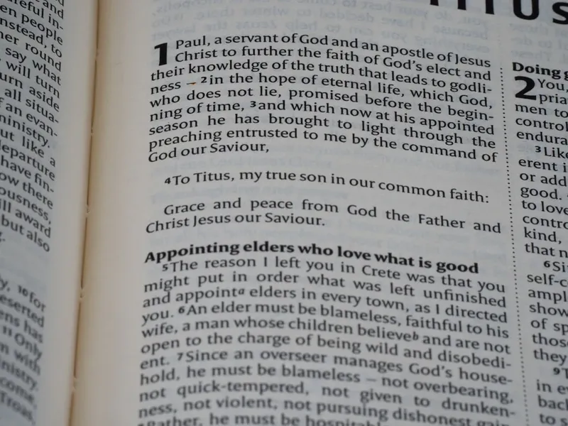 Colaborarea dintre Ilie Bolojan și Nicușor Dan