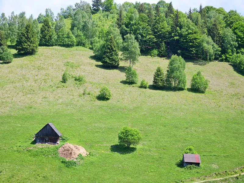 Prognoza meteo pentru următoarele două săptămâni