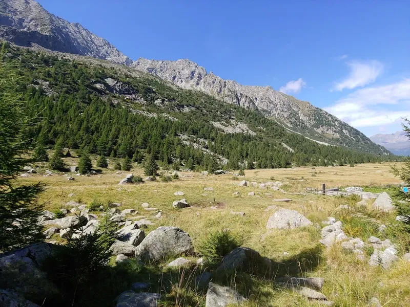 Promenada Urbană: Transformarea Căii Victoriei și a Străzii Ion Brezoianu