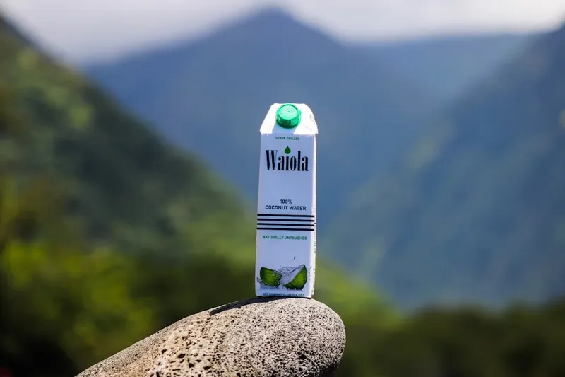 Vizita oficială a lui Alexandru Rogobete în SUA