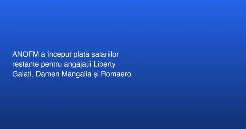 Plata creanțelor salariale pentru angajații firmelor Liberty Galați, Damen Shipyards Mangalia și Romaero București