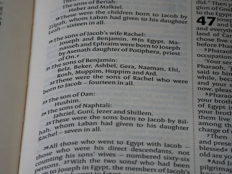 Tragedia unui băiețel român în Spania