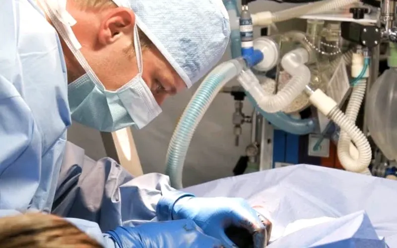 Proiectul de lege pentru moartea asistată în Anglia și Țara Galilor va fi respins