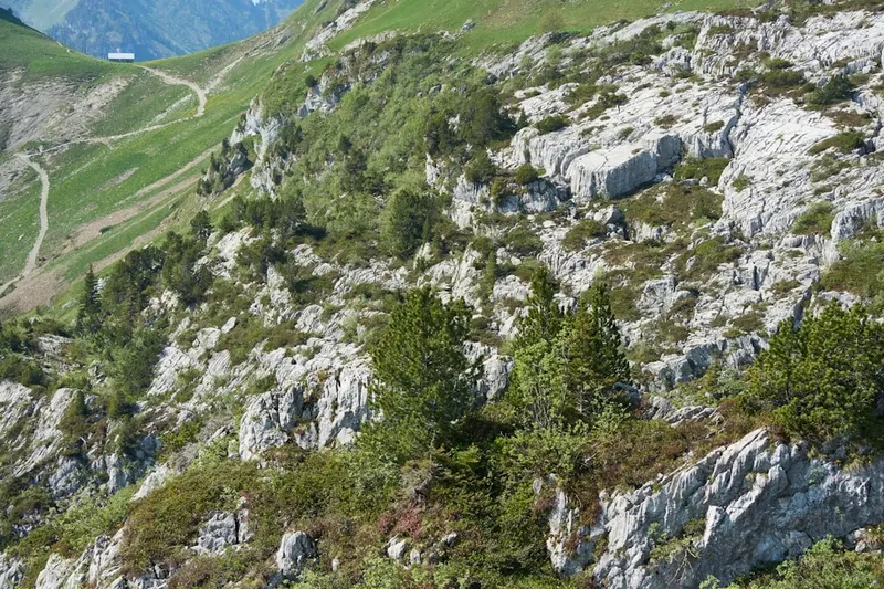 Selecţia pentru Satele Turistice din România