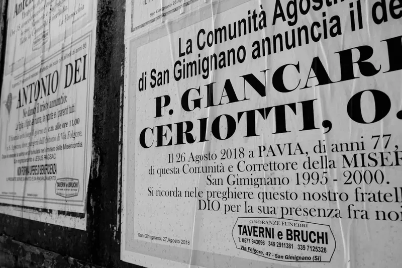 Vicepremierul Oana Gheorghiu vorbește despre problemele companiilor de stat