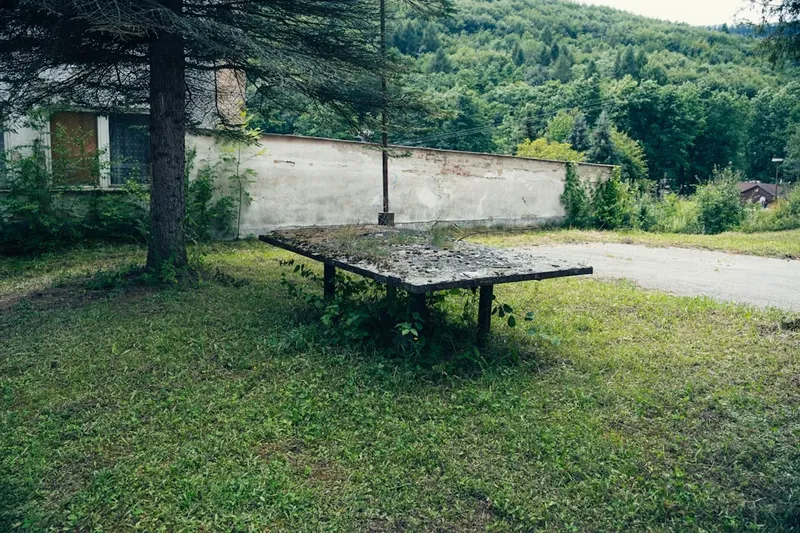 Zelenski și Securitatea Europei