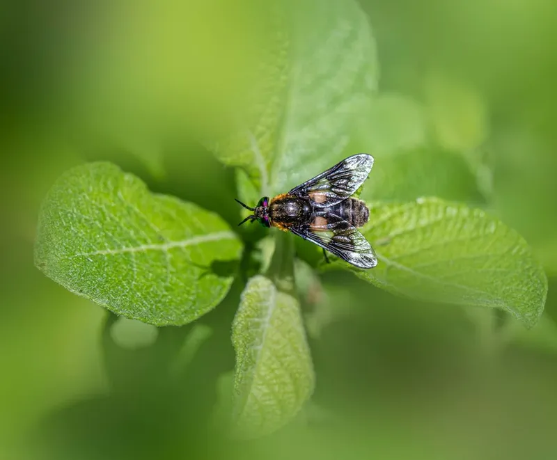 Descoperire la Tulcea