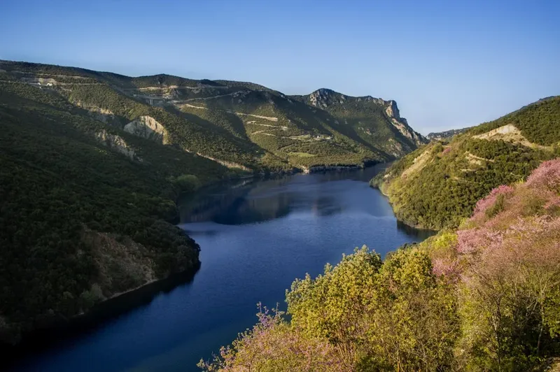 Ce promite noua lege a salarizării unice