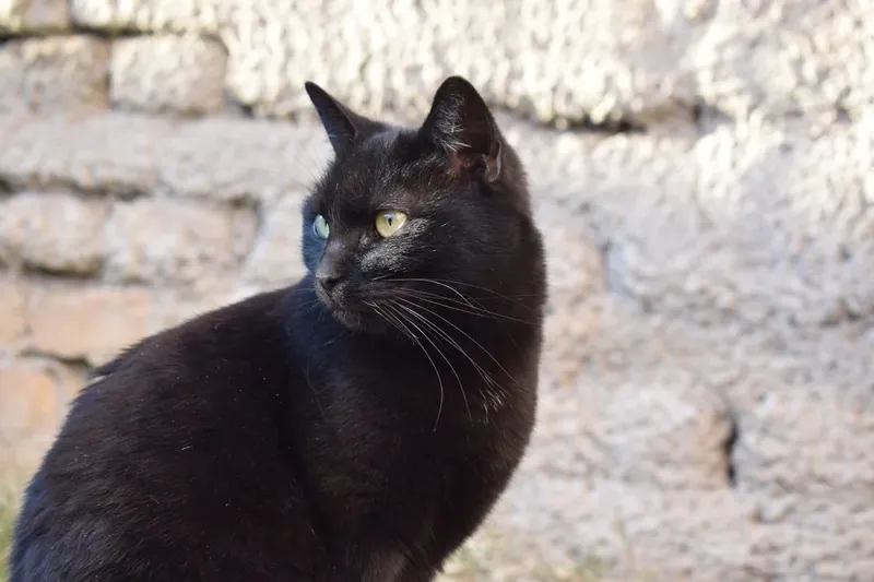 Câte ouă putem mânca de Paște?