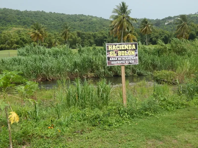 Alegeri în Ungaria: Tensiuni și Acuzații