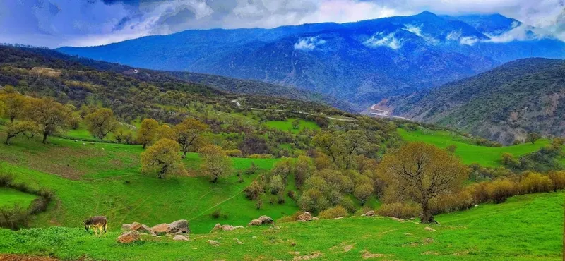 Conversația dintre Viktor Orban și Vladimir Putin