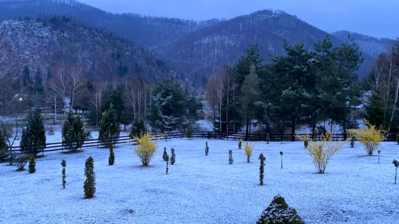 Zăpada mieilor: Ninsoare în județul Bihor înainte de Paște