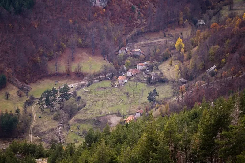 Furtul de la Muzeul Drents