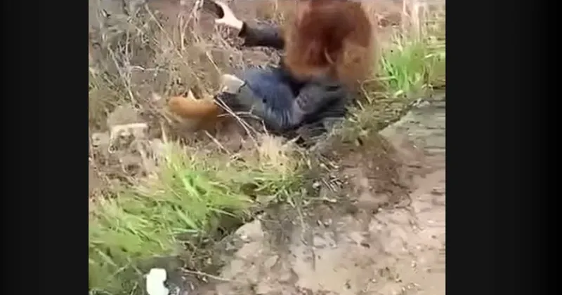 O femeie a sărit dintr-un Uber în timpul mersului