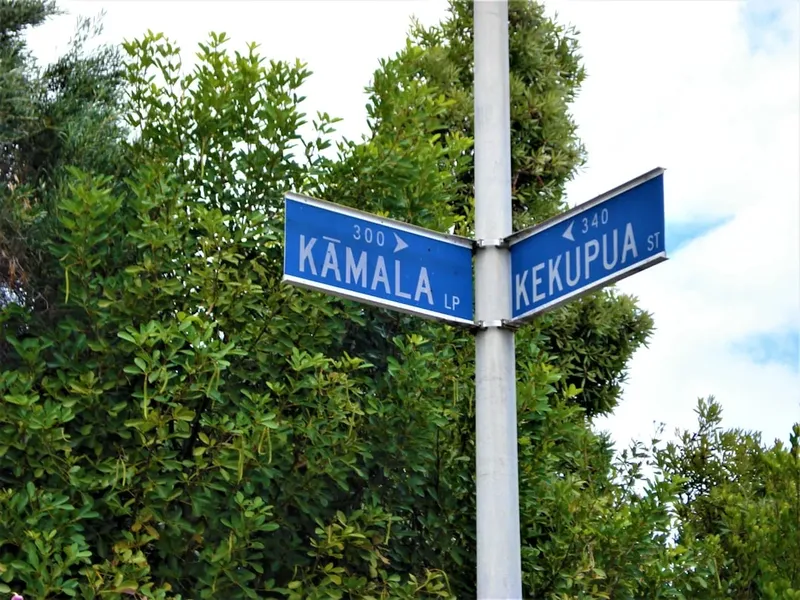 Kamala Harris și posibila candidatură la președinție